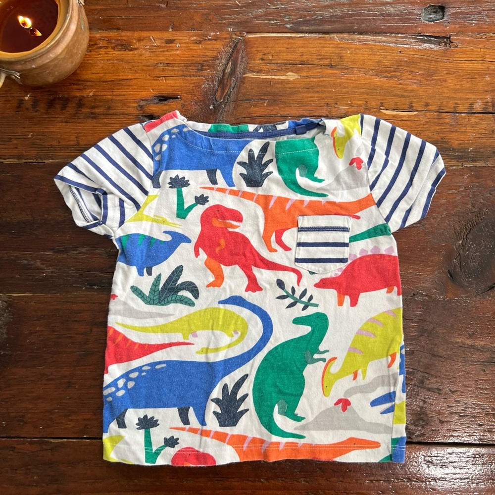Dinosaur Mini Boden Kid’s T-Shirt, 100% Cotton 3-4yr